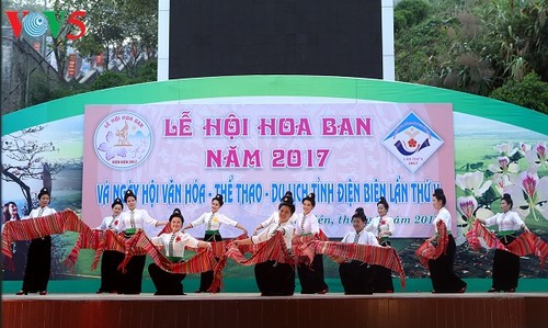 2017 Ban Flower Festival opens in Dien Bien - ảnh 1